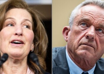 Democrat Rips Into RFK JR. During Hearing