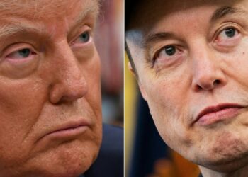 Old Pal Of Elon Musk Has Ominous Warning For Donald Trump