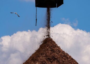 Wood Pellet Mills Are Prone to Catching Fire. Why Build Them in California?