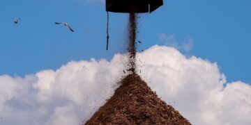 Wood Pellet Mills Are Prone to Catching Fire. Why Build Them in California?