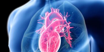New Immunotherapy Reverses Cholesterol Damage in Heart Cells