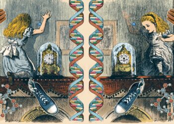 How the Universe and Its Mirrored Version Are Different