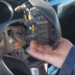 French authorities say faulty Takata airbag responsible for driver's death