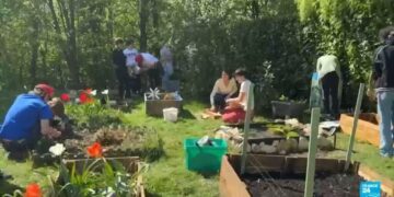 Vegetable Garden World Cup: 'We all need to reconnect with nature and our health'