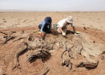 Archaeologists Uncover Secrets of the Mysterious Gobi Wall