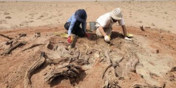 Archaeologists Uncover Secrets of the Mysterious Gobi Wall