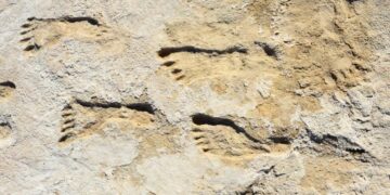 “Strange” – Scientists Discover Ghostly 23,000-Year-Old Human Footprints in New Mexico
