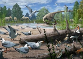 73-Million-Year-Old Discovery Reveals Arctic Birds Nesting With Dinosaurs