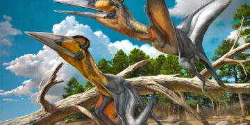 First of Its Kind: Scientists Discover New Species of Pterosaur in Japan