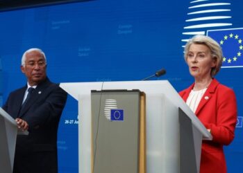 Von der Leyen proposes setting up EU-led alternative to WTO