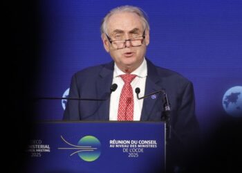 Australia needs better EU beef offer to revive trade deal, says minister