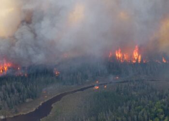 More than 25,000 people in Canada evacuated as wildfires rage and air quality suffers | World News
