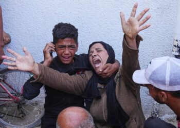 Government accused of ‘stark’ contradiction over position on Gaza genocide allegations | Politics News