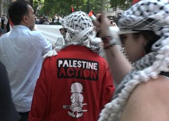 Palestine Action: The ‘enemy within’ or non-violent protesters? | UK News