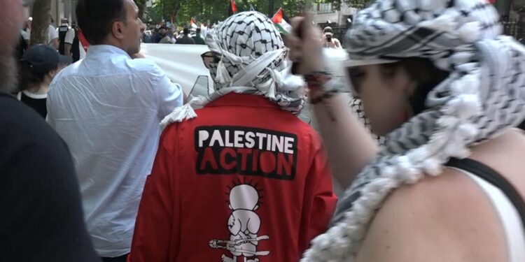 Palestine Action: The ‘enemy within’ or non-violent protesters? | UK News