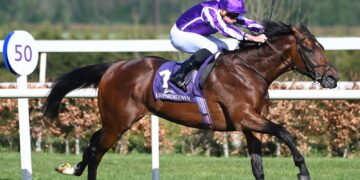 Aidan O’Brien discusses Derby plans with Delacroix in pole position to lead Ballydoyle team | Racing News