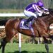 Aidan O’Brien discusses Derby plans with Delacroix in pole position to lead Ballydoyle team | Racing News