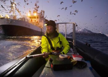 In photographs, scientists revel in the world they seek to discover : NPR