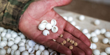 War against captagon: Why is Saudi Arabia executing drug dealers on a massive scale?