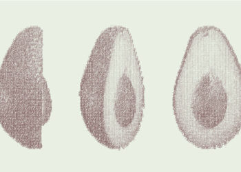 Heritable Agriculture, a Google spinout, is bringing AI to crop breeding