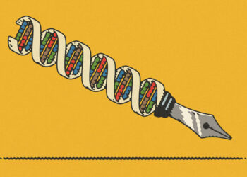 A new project aims to synthesise a human chromosome