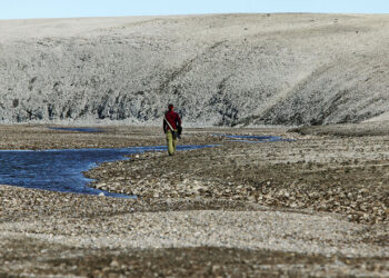 Ancient proteins could transform palaeontology