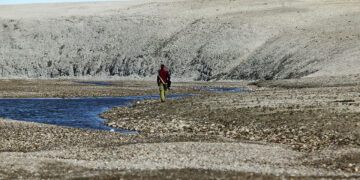 Ancient proteins could transform palaeontology