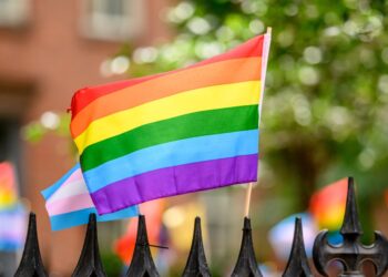 NPS Removes Bisexuality References From Stonewall Website