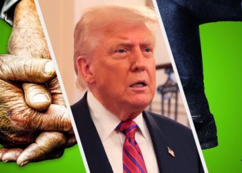 What Is Chronic Venous Insufficiency? Trump’s Condition, Explained.