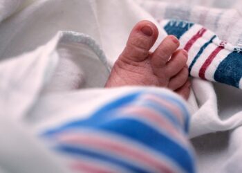 The U.S. Fertility Rate Hit An All-Time Low In 2024, CDC Data Shows