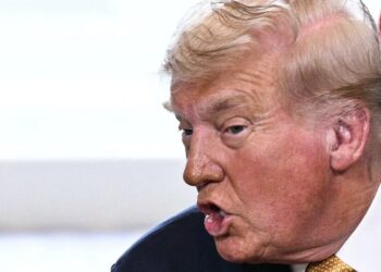 Trump Ripped After ‘Insane’ New Ramble Against Wind Power