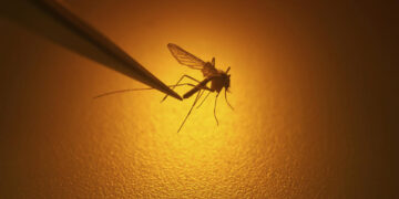 Climate change is changing the geography of infectious disease