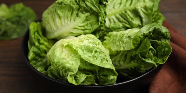 The Shocking Way Your Lettuce Might Be Getting Contaminated