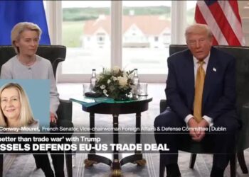 'EU has a lot to lose': US-EU trade deal with Trump counter to 'what EU should be standing for'