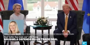 'EU has a lot to lose': US-EU trade deal with Trump counter to 'what EU should be standing for'