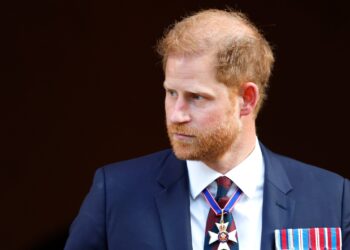 Prince Harry Recieves Unforeseen Support From European Royal