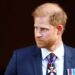 Prince Harry Recieves Unforeseen Support From European Royal