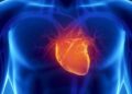 “Remarkable” Results – Scientists Say This Supplement Reversed Heart Damage