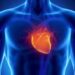 “Remarkable” Results – Scientists Say This Supplement Reversed Heart Damage