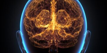 Brain Cells Keep Growing Even in Old Age, Study Finds