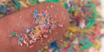 Scientists Develop Plastic Substitute That Could Fight Ocean Pollution