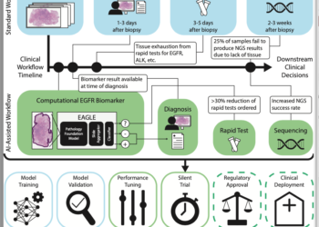 AI Model Predicts Cancer Mutations from Routine Pathology Slides
