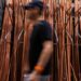 Manufacturers plead for US tariff clarity before copper stockpiles dwindle