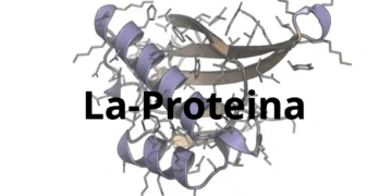 NVIDIA Research Unveils La Proteina Protein Modeling AI Tool