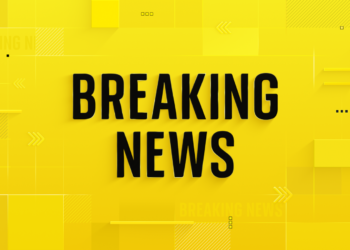 Tyler Webb sentenced to nine years imprisonment after persuading victim to attempt suicide online | Science, Climate & Tech News