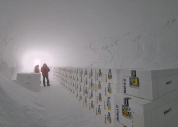 Antarctica’s oldest ice arrives in UK for analysis on climate shifts | World News