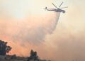 Firefighters tackle blazes as wildfires break out in Greece, Turkey and Albania | World News
