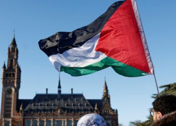 Minister rejects claim that recognition of Palestine state could breach international law | Politics News
