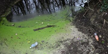 Why has there been a surge in water pollution? | World News