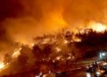 Turkey wildfires: At least 17 killed as thousands flee their homes | World News